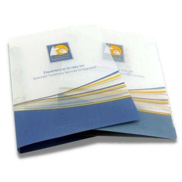 Custom Made Polypropylene Frosted Ring Binder File With Printing